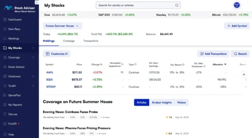 Motley Fool Stock Advisor - Portfolio Strategies
