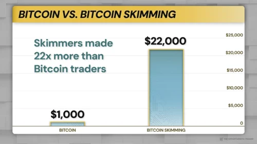 Bitcoin Skimming Review
