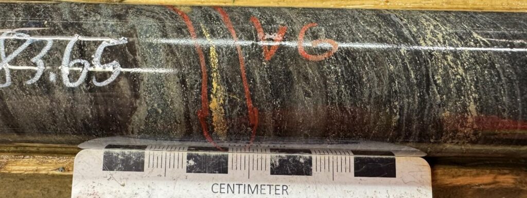 Figure1_VG