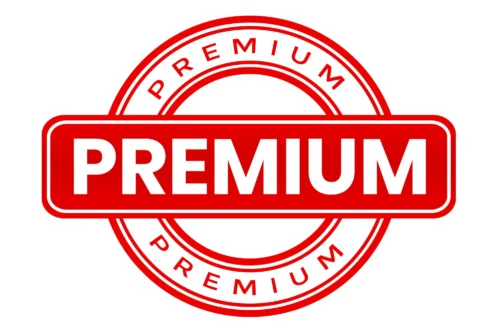 Dodgy’s Dungeon Premium